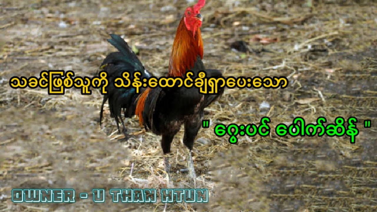 ဂွေးပင် ပေါက်ဆိန်