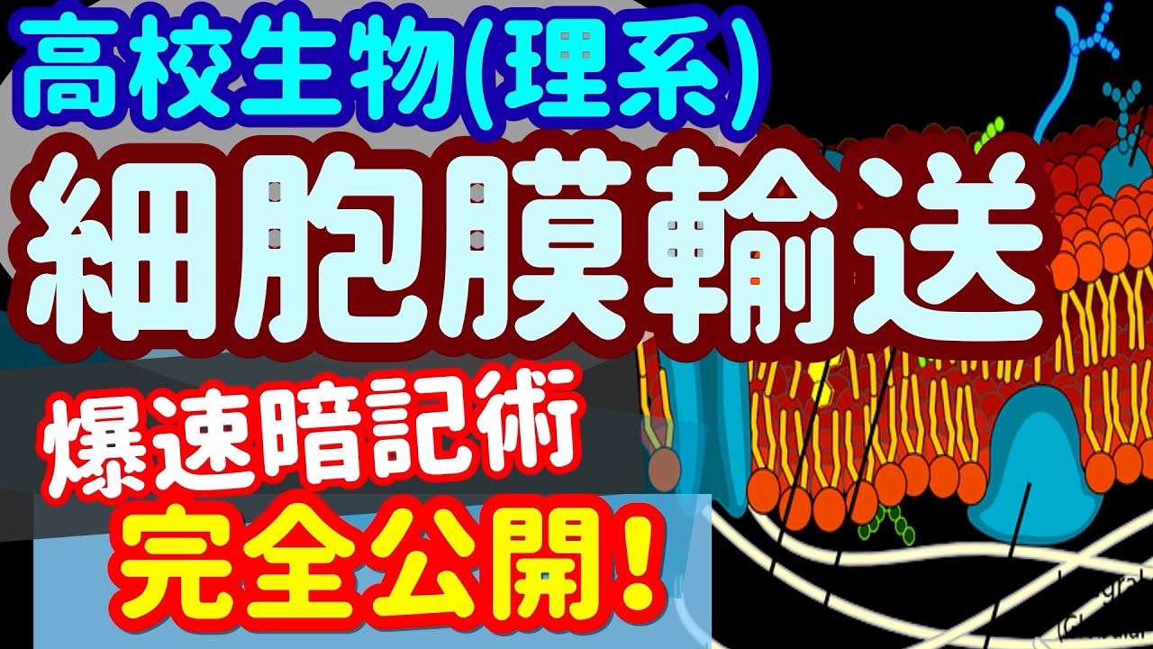 【高校生物 4】細胞【細胞膜輸送】を宇宙一わかりやすく