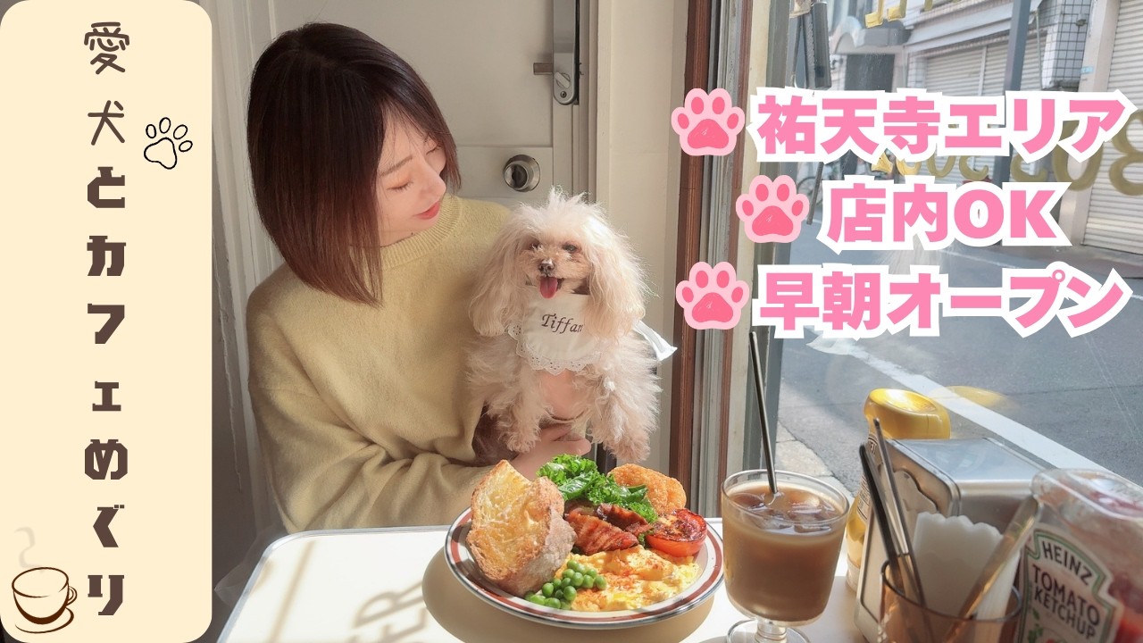 【保存版】祐天寺で犬と入れる店内OKカフェ☕朝活バーガー＆豚汁カフェ