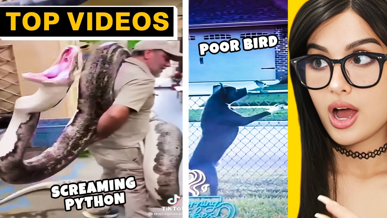 Insane Moments That Only Exist Because They Were Filmed! | SSSniperWolf