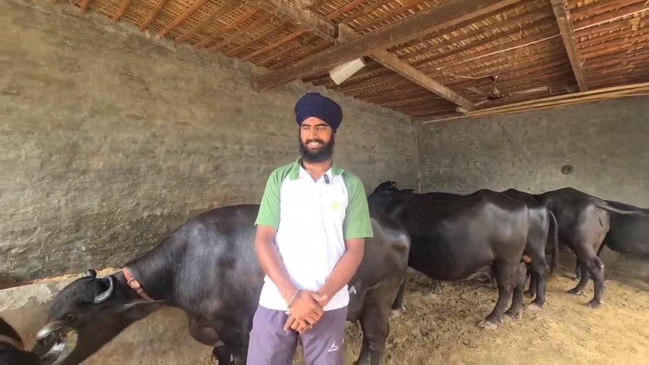 20 ਸਾਲ ਦਾ ਮੁੰਡਾ ਕੱਡੀ ਜਾਦਾ ਅੱਗ ?