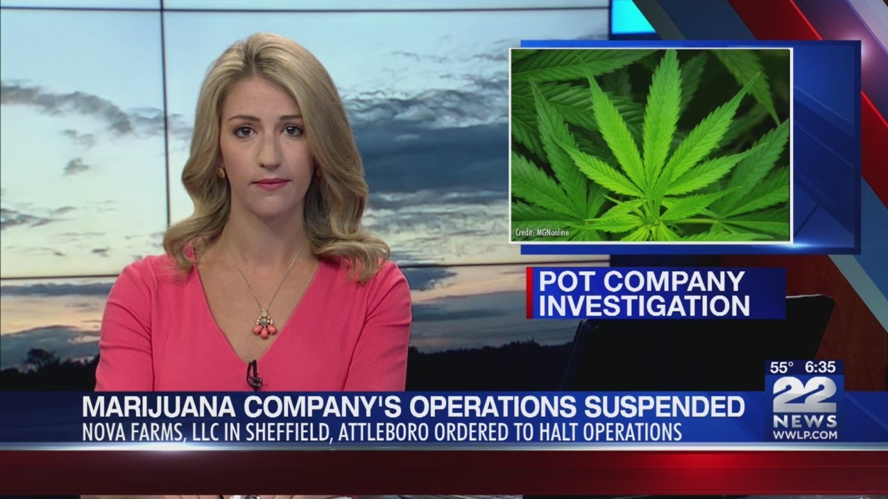 Cannabis Control Commission suspends six licenses of Nova Farms, LLC