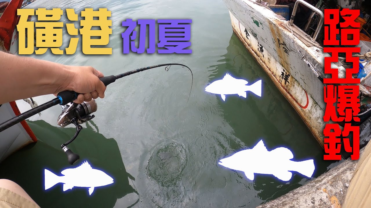 磺港路亞爆釣