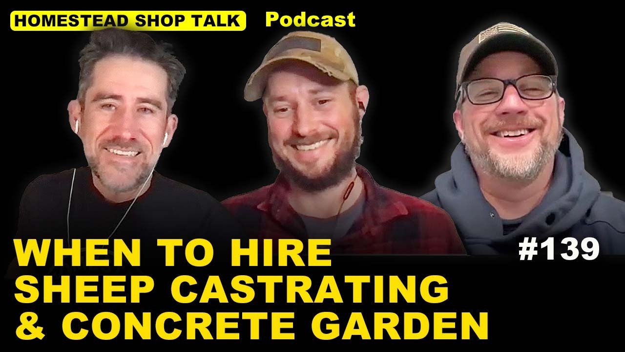 When to Hire, Castrate Sheep & Concrete Garden Beds/ Ep. 139