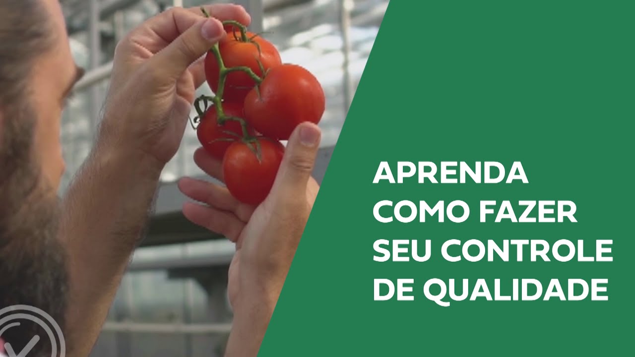 Gest&atilde;o da Qualidade de Alimentos | Academia Inspecione Qualidade - PariPassu
