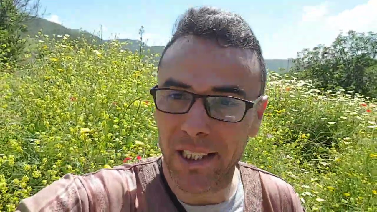 ما هو احسن برنامج دراسي بعد عيد الفطر للحصول على باك بمعدل عالي