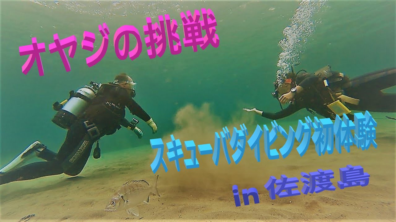 新潟県　佐渡島でスキューバダイビング!!　初体験ながら50オヤジが頑張ってみました！DivingService Freeway