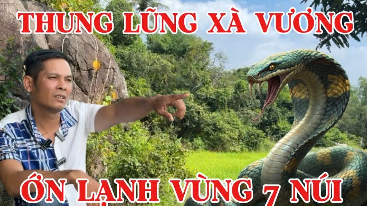 Chấn động anh hai sống ở vùng thất sơn bảy núi chạm trán rắn hổ mây khủng to bằng cái khạp da bò