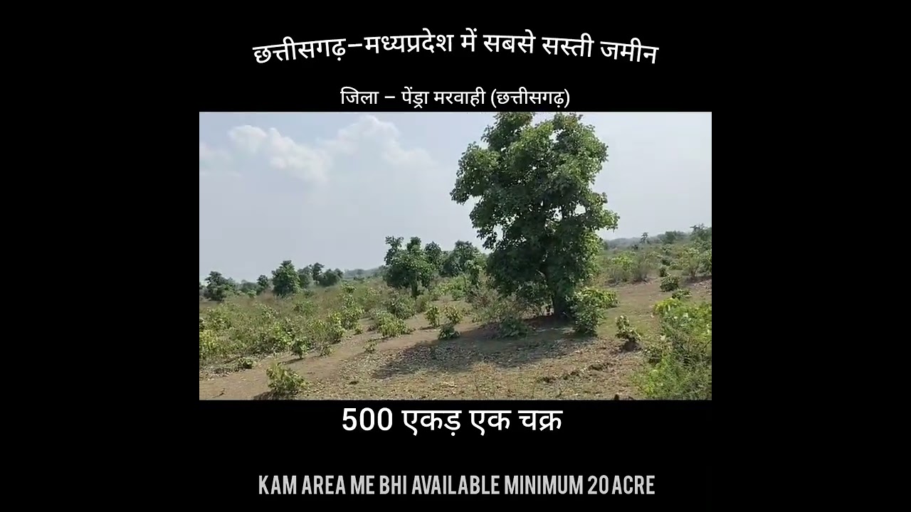 Distt marwahi pendra 500 ACRE . Contact 9039920164
