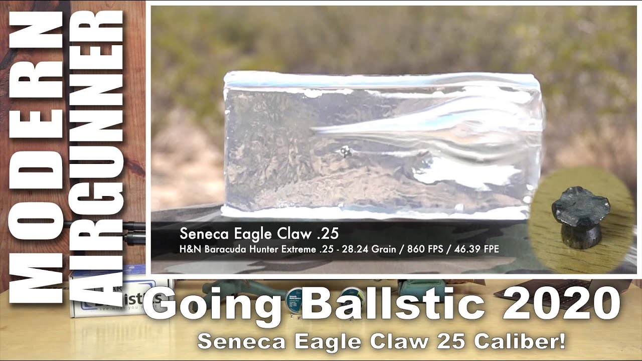 Seneca Eagle Claw .25 Ballistics Gel! - Going Ballistic with H&N Pellets 2020