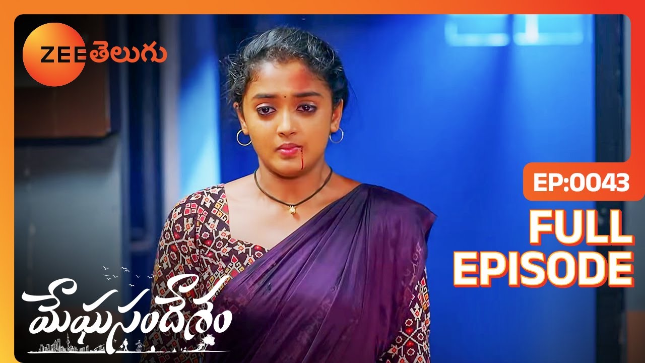Nakshatra యొక్క Bhoomi వీడియో. | Meghasandesam | Full Ep. 43 | ZEE Telugu