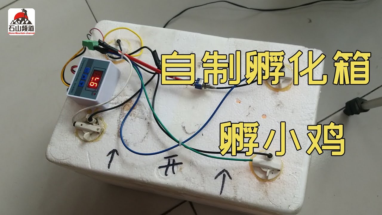 自制小鸡孵化箱，鸡蛋孵化箱的制作