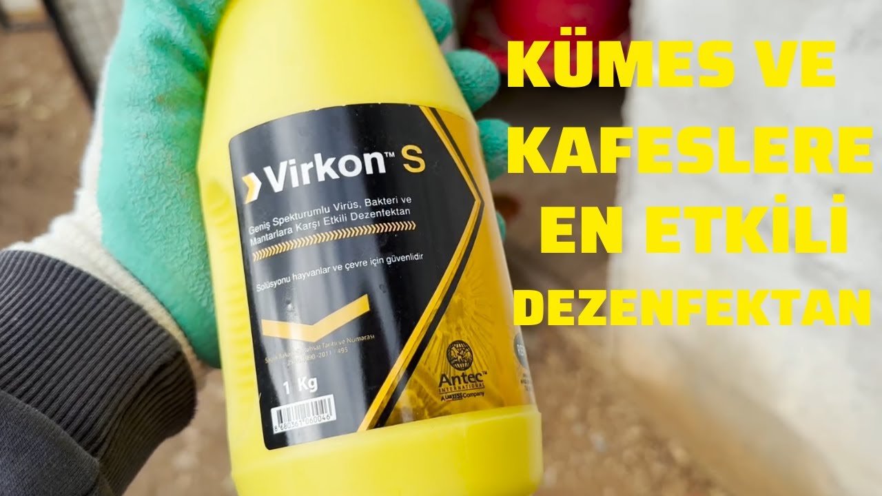 KÜMESLER İÇİN EN ETKİLİ DEZENFEKTAN - MİKROP VE VİRÜSLERİ ÖLDÜRÜN