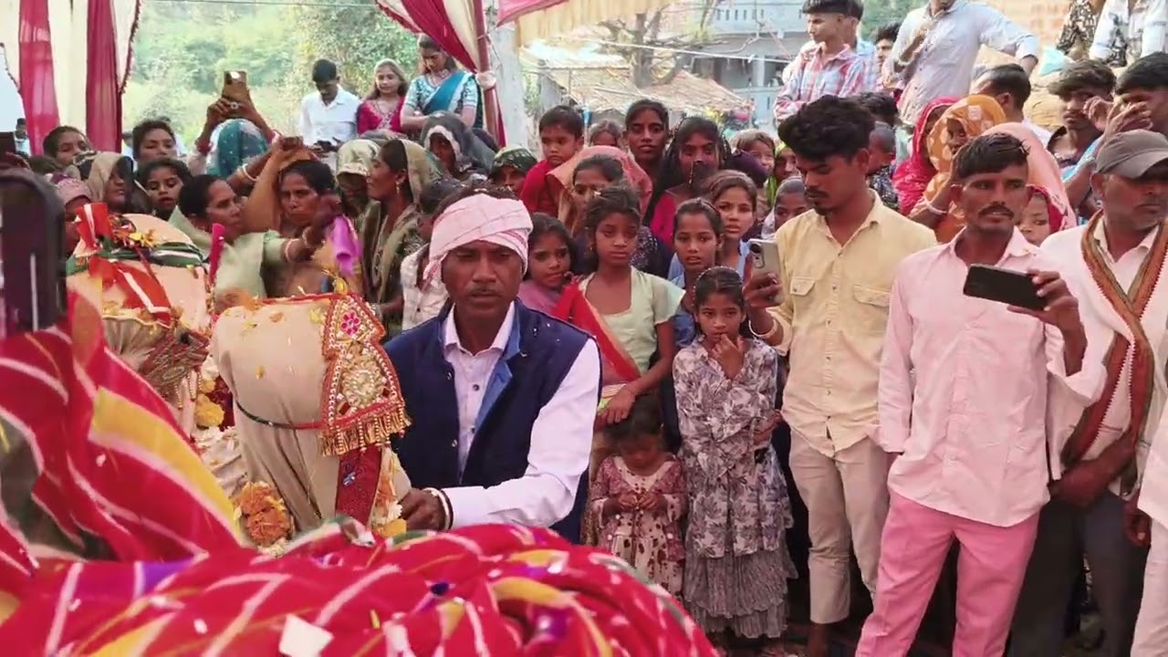 #आदिवासी ❤️लाडी लाडा 🏹पारंपरिक रूप से फेर लेते हुए 🌿झाबुआ मध्य प्रदेश