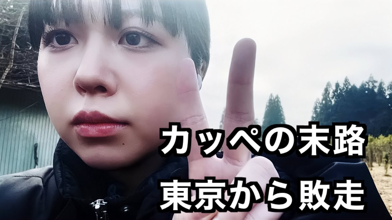 【カッペ鬱病】都会のネズミになりたかった、なれなかった【田舎に敗走】