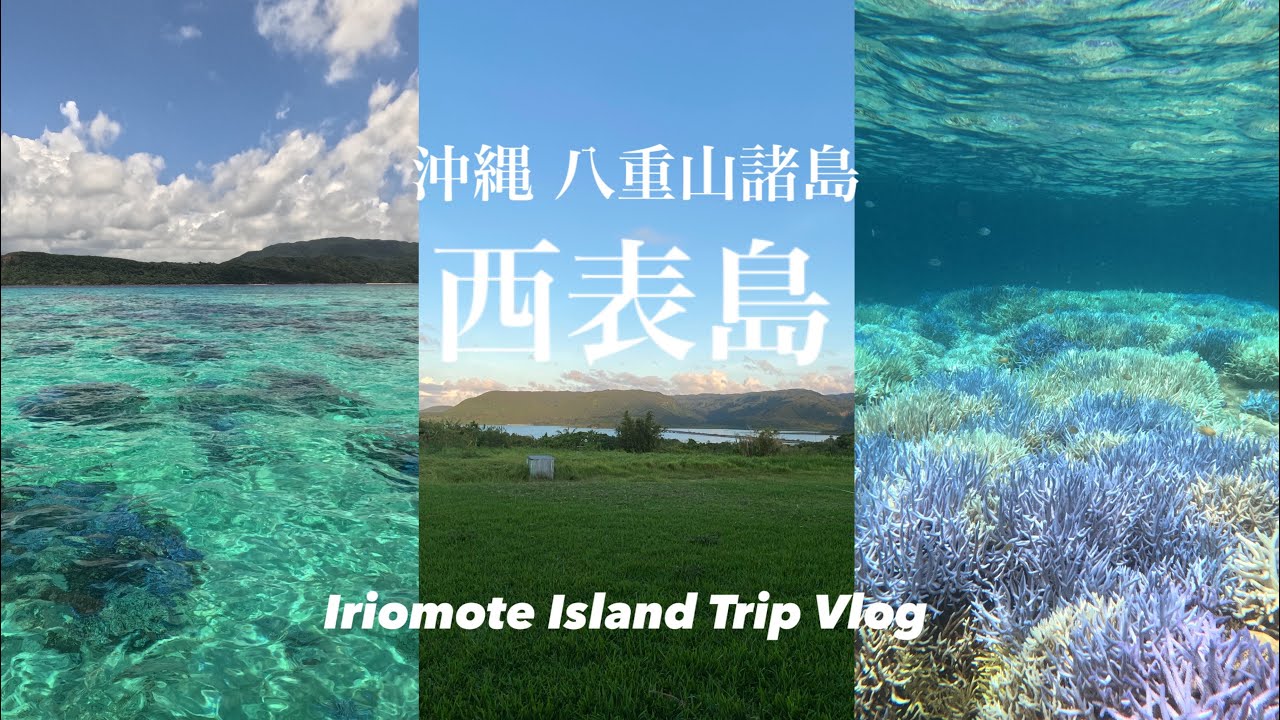 【vlog】沖縄🌺西表島の海と自然に魅了される2日間🏝️🐠西表島|鳩間島|シュノーケルツアー🤿