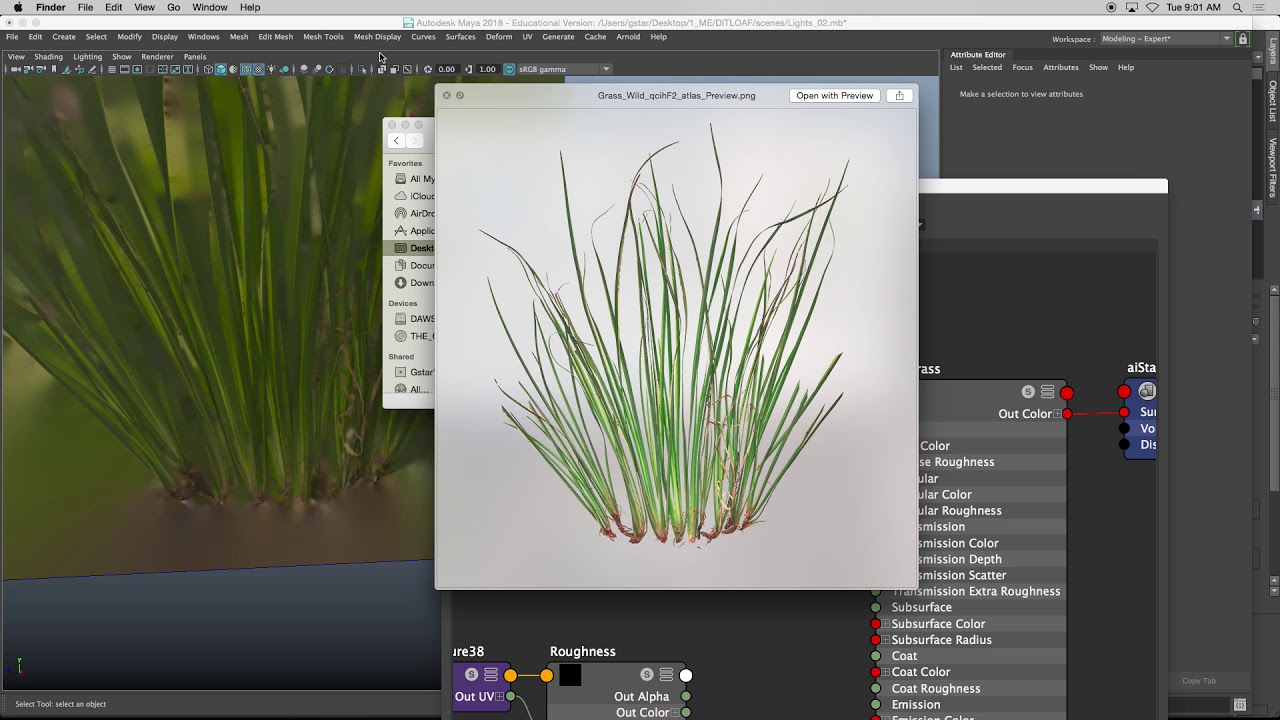 How To Texture Grass In Maya