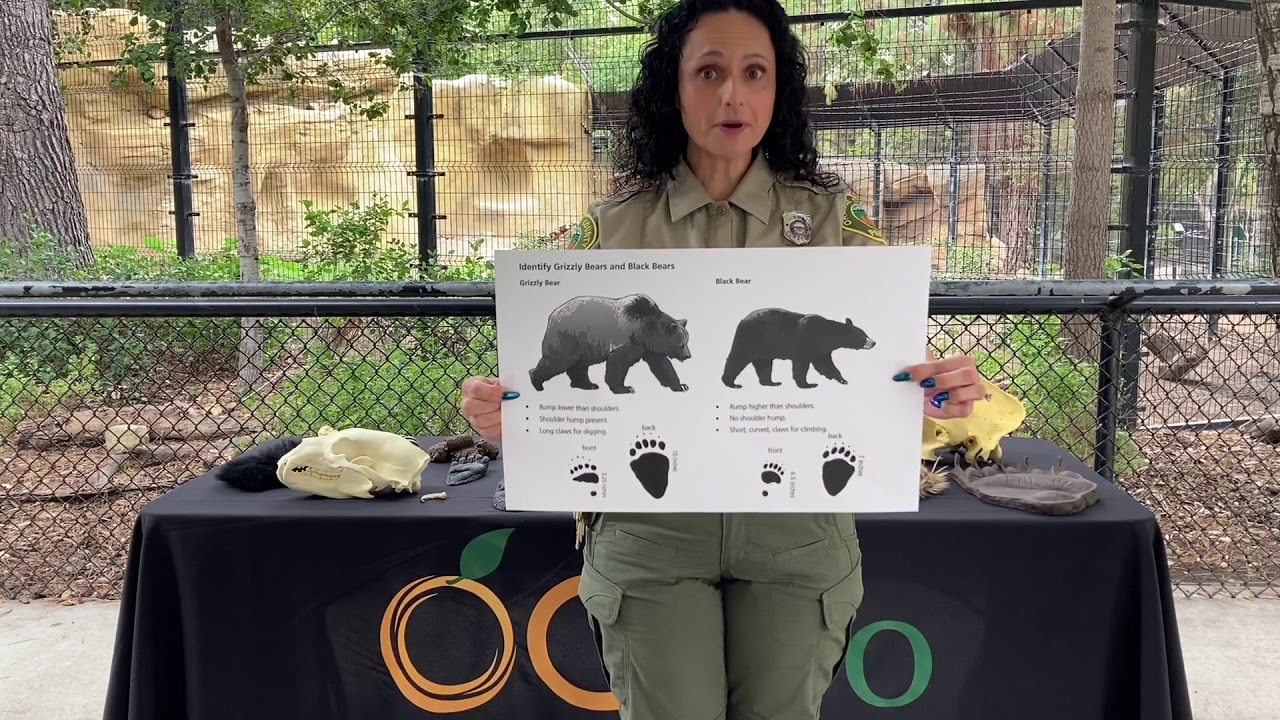 OC Zoo Virtual Tour
