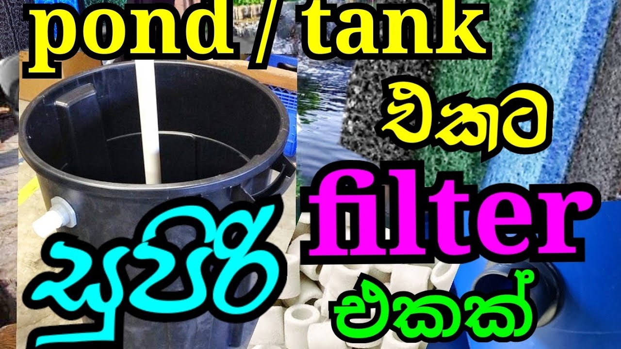 LOW BUDGET DIY POND FILTER | DIY Pond Filter |  | පොන්ඩ් එකට ලොකු ෆිල්ටරයක් හදාගන්න ආකාරය