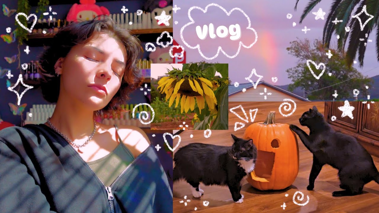 ₊˚.🌝 Дневник головокружительного мечтателя 🌈.˚₊