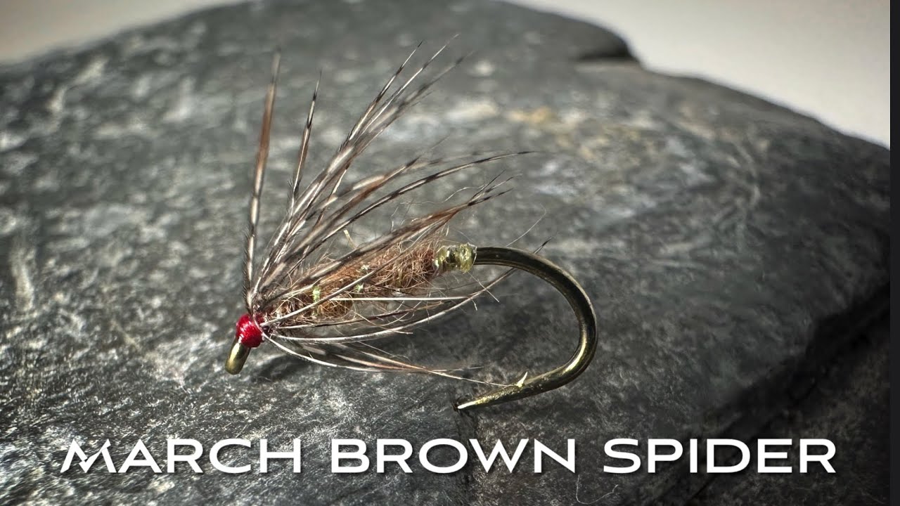 The March Brown Spider - Spider/Soft Hackle - Fly Tying with John Murphy