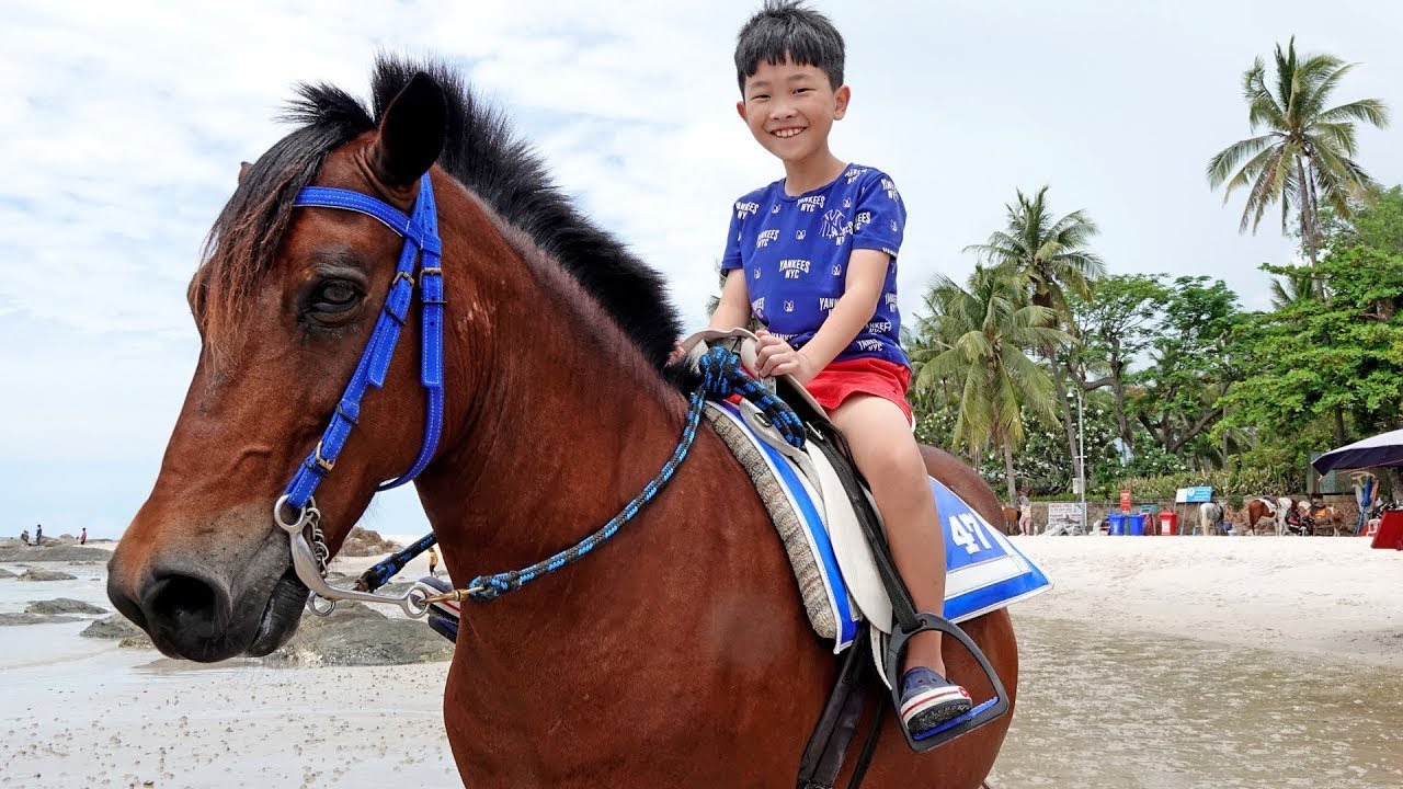 Yejun and day with family fun time in zoo with kids