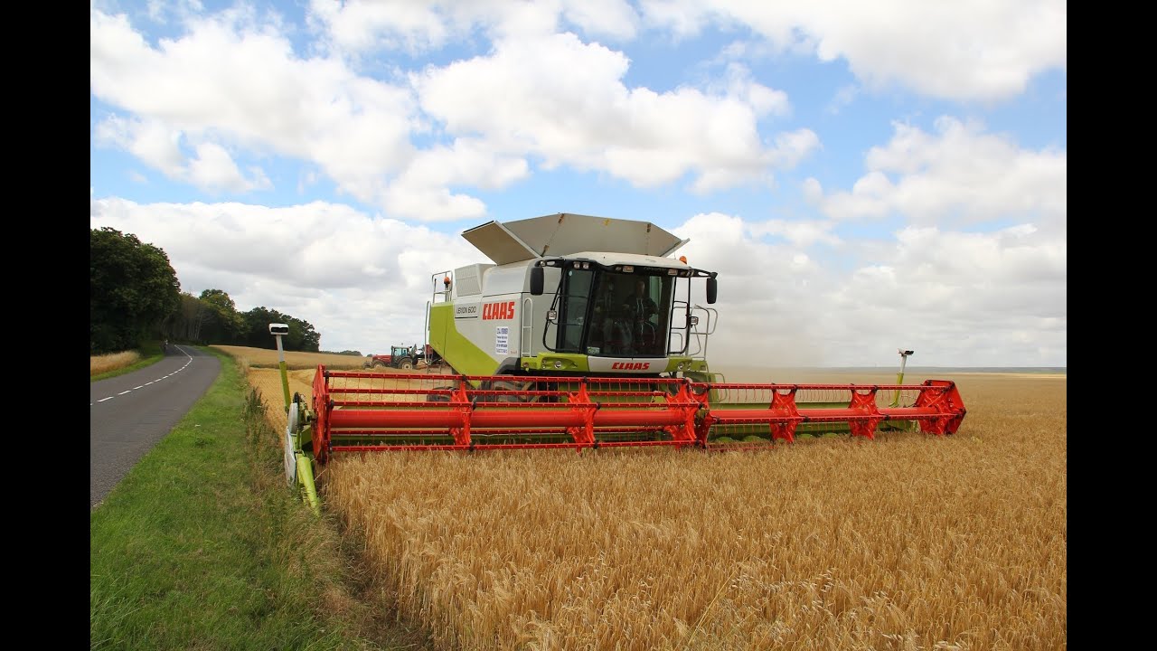 Claas Lexion 600 + Vario V1050
