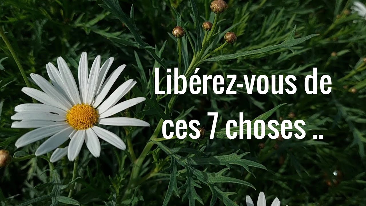 Libérez-vous de ces 7 choses .. 26 Pensées Positives Inspirantes #28