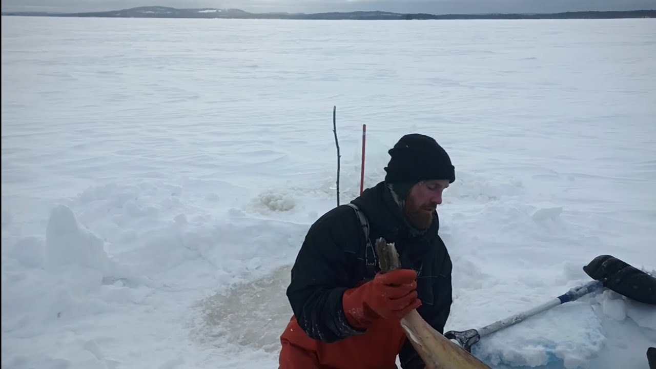 Talviverkoilla Pielisellä 19.2.24.  Kunnon köllykkä pitkästä aikaa