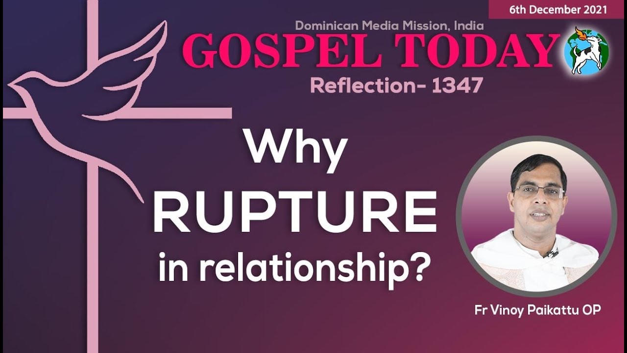 6/12/2021|Reflection 1347 (Fr Vinoy Paikattu OP on Luke 5:17-26)