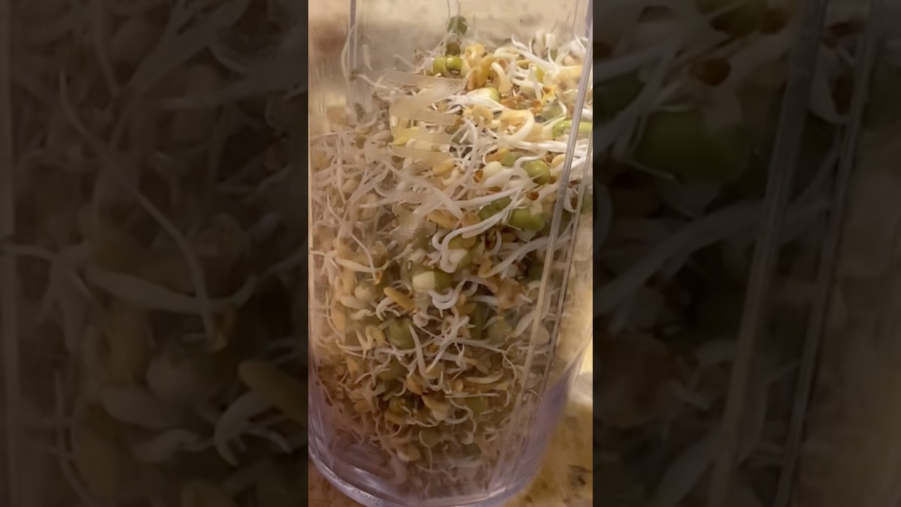 How to make seed sprouted tea for your plants 