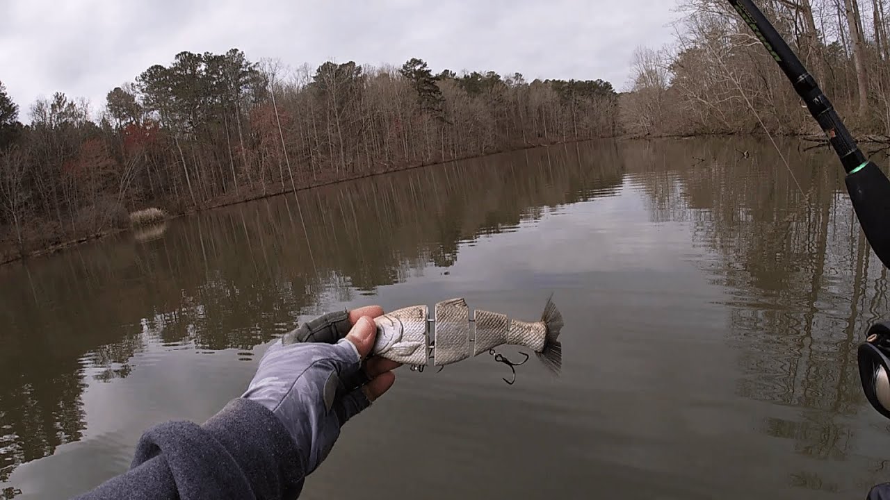 Tossing the 8 inch Mike Bucca Bull Shad