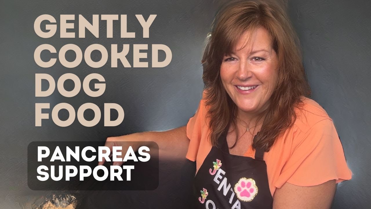 The Ultimate Pancreas-Supporting Dog Food Recipe:  Vet Approved