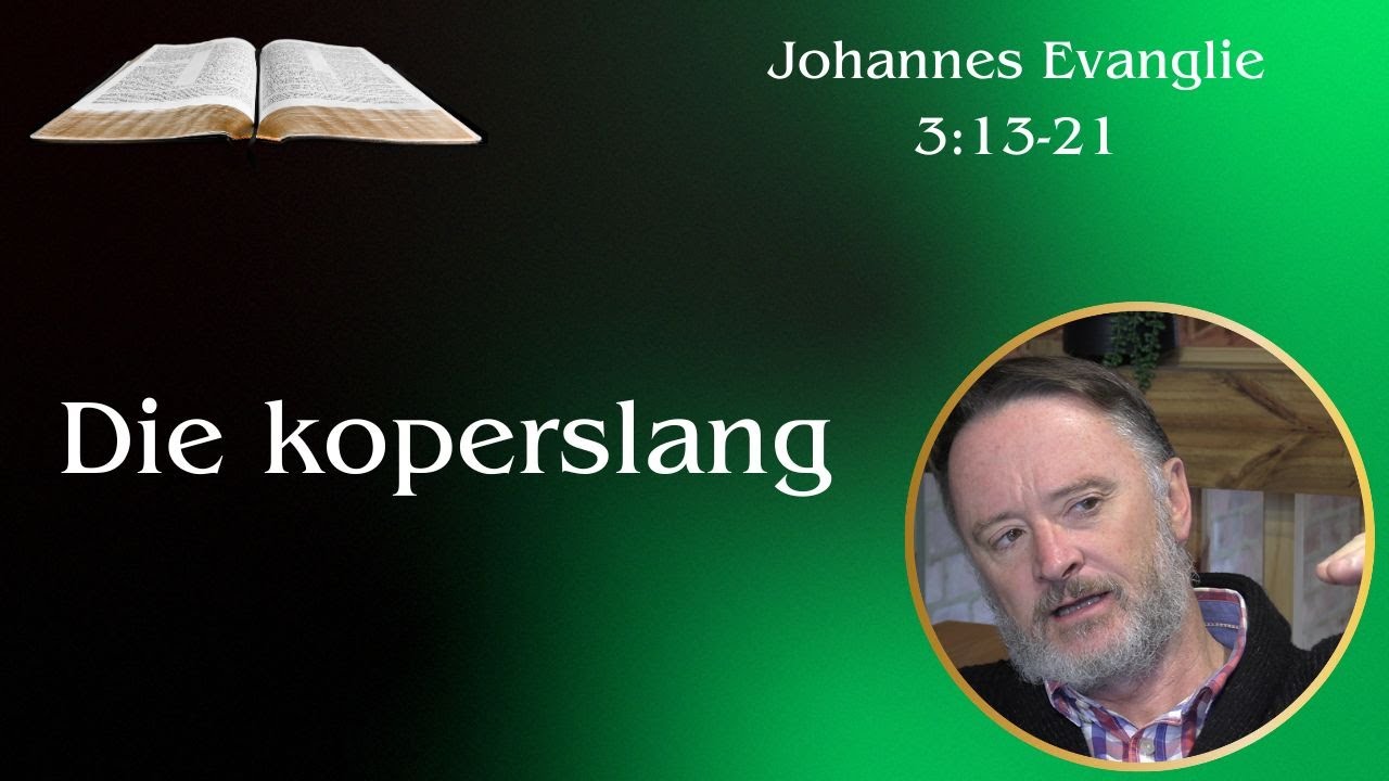 Die koperslang (Joh 3:13-21) | Vita Dei 686