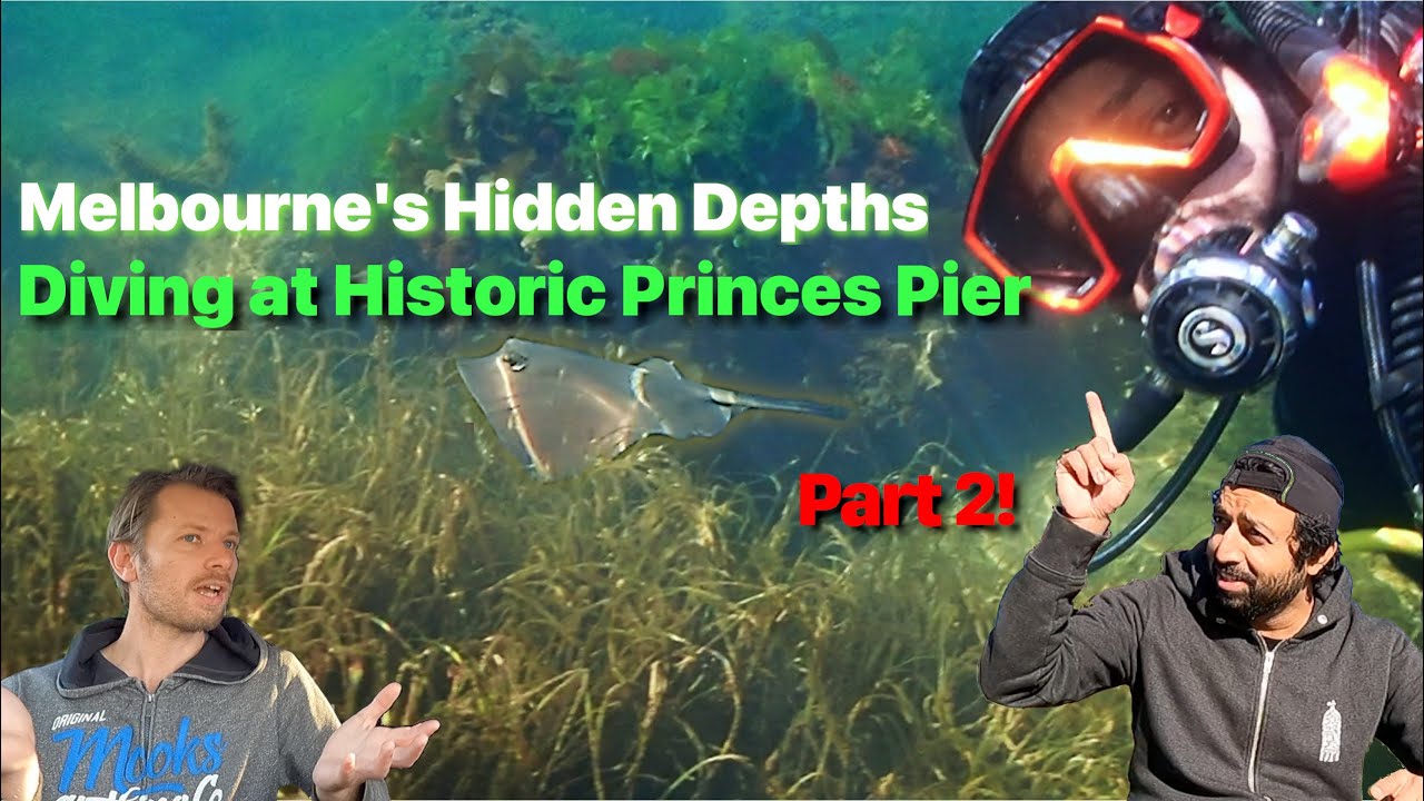 [Dive] Princes Pier, Part 2 - #DIVE under Historic Princes Pier! Port Melbourne