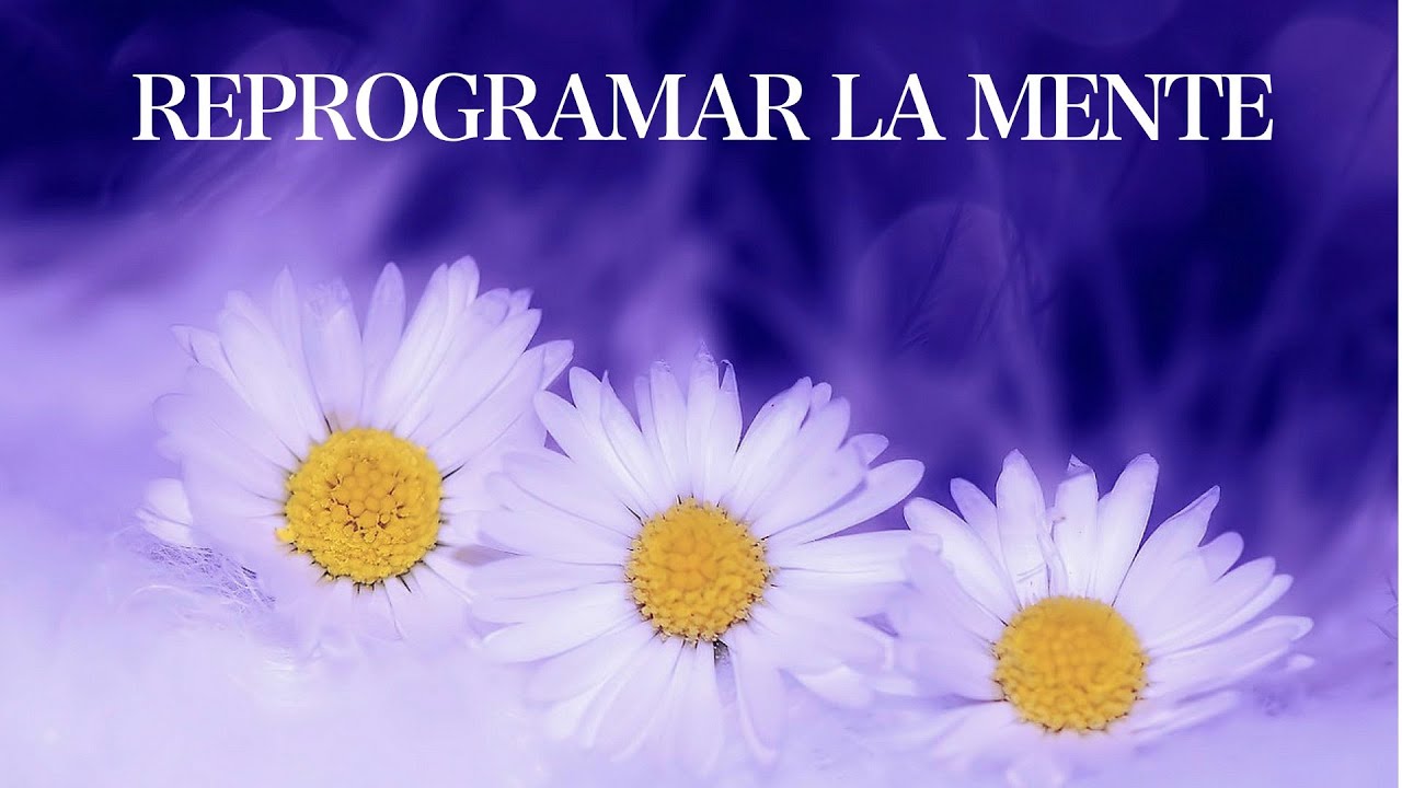 Meditaci&oacute;n para Terminar el D&iacute;a