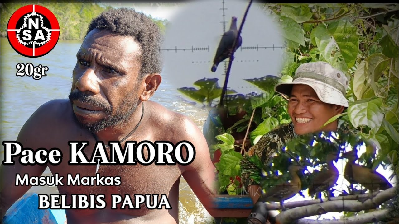 B3RBURU dan BERBAGI || Belibis PAPUA Yg MelimpaH,MARKAS BELIBIS PAPUA