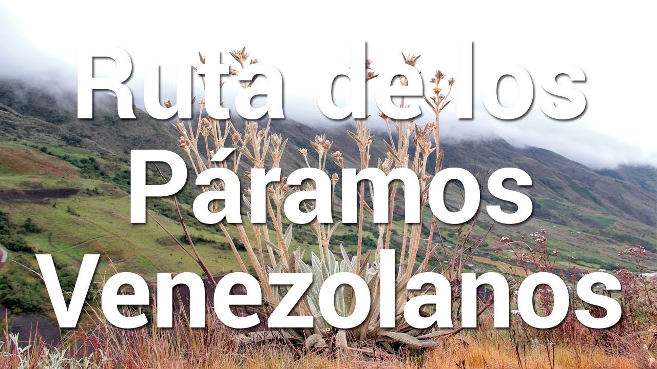 Ruta de Los Páramos Venezolanos | Tierra de Gracia