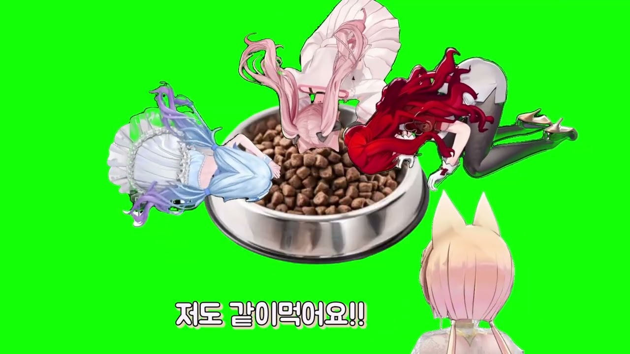 개밥그릇 아이돌 7명