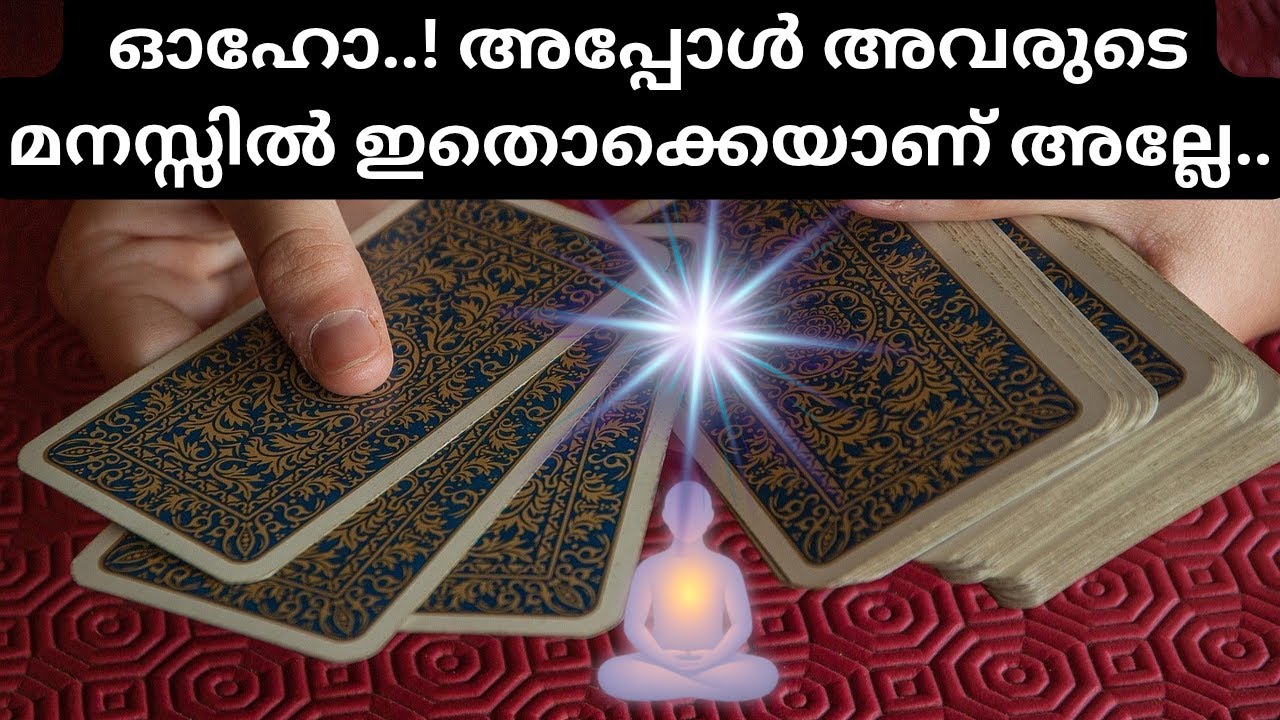  ആ വ്യക്തിയുടെ മനസ്സിൽ എന്താണ് 🧿🩷🥰 Their feelings for you malayalam tarot reading 
