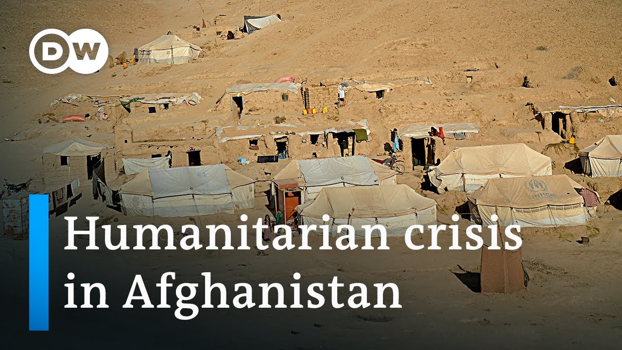 UN: 50% of Afghans face extreme hunger | DW News