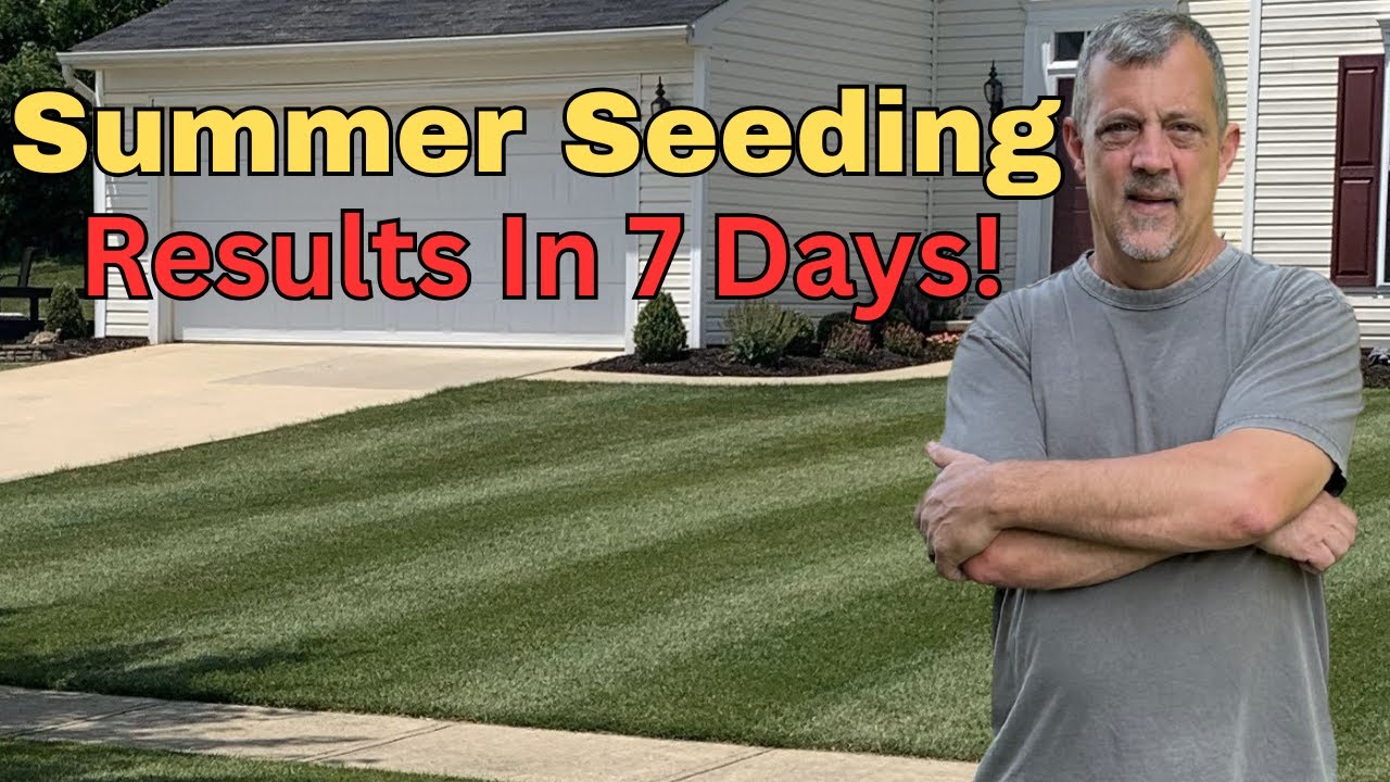 Will Seed Survive the Summer Heat?