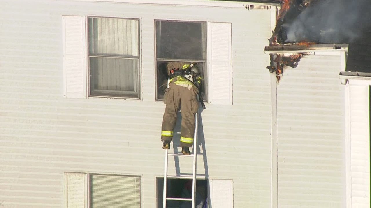 Firefighter saves cat from burning apartment