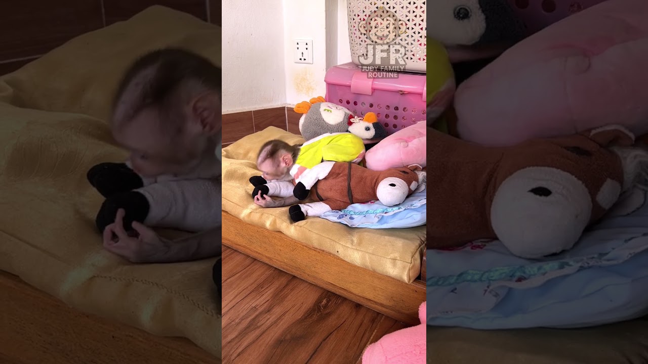 Jumie Is Such A Playful Little Girl 🐒💛