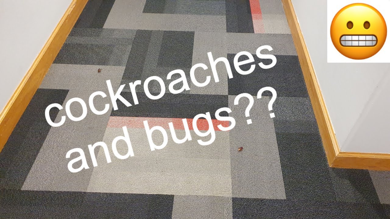 WashU S40 Dorm Tour/Exposed???
