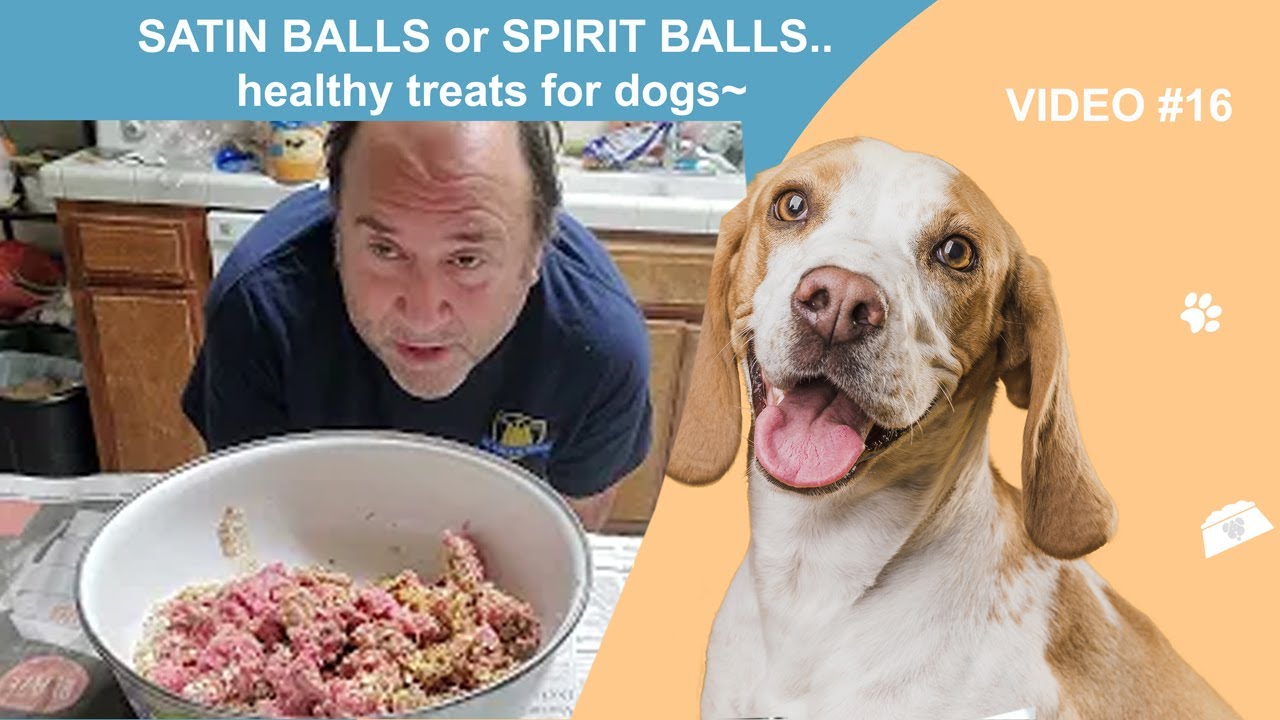 SATIN BALLS or SPIRIT BALLS.. healthy treats for dogs~ 