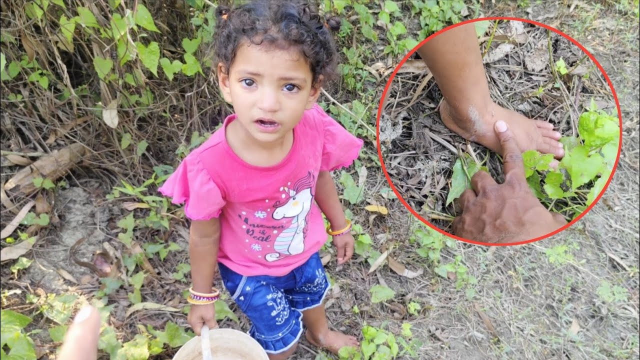 মাছ ধরতে গিয়ে সোনা মা পড়ে গিয়ে ব্য'থা পেয়েছে। Free Motion By Rohan..