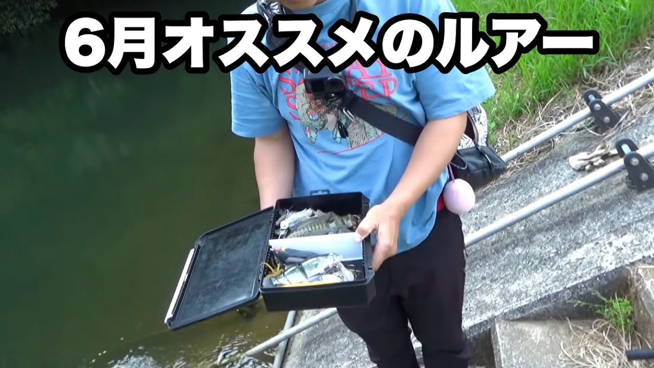 【タックル紹介】オススメルアーや釣り方なんかを紹介します