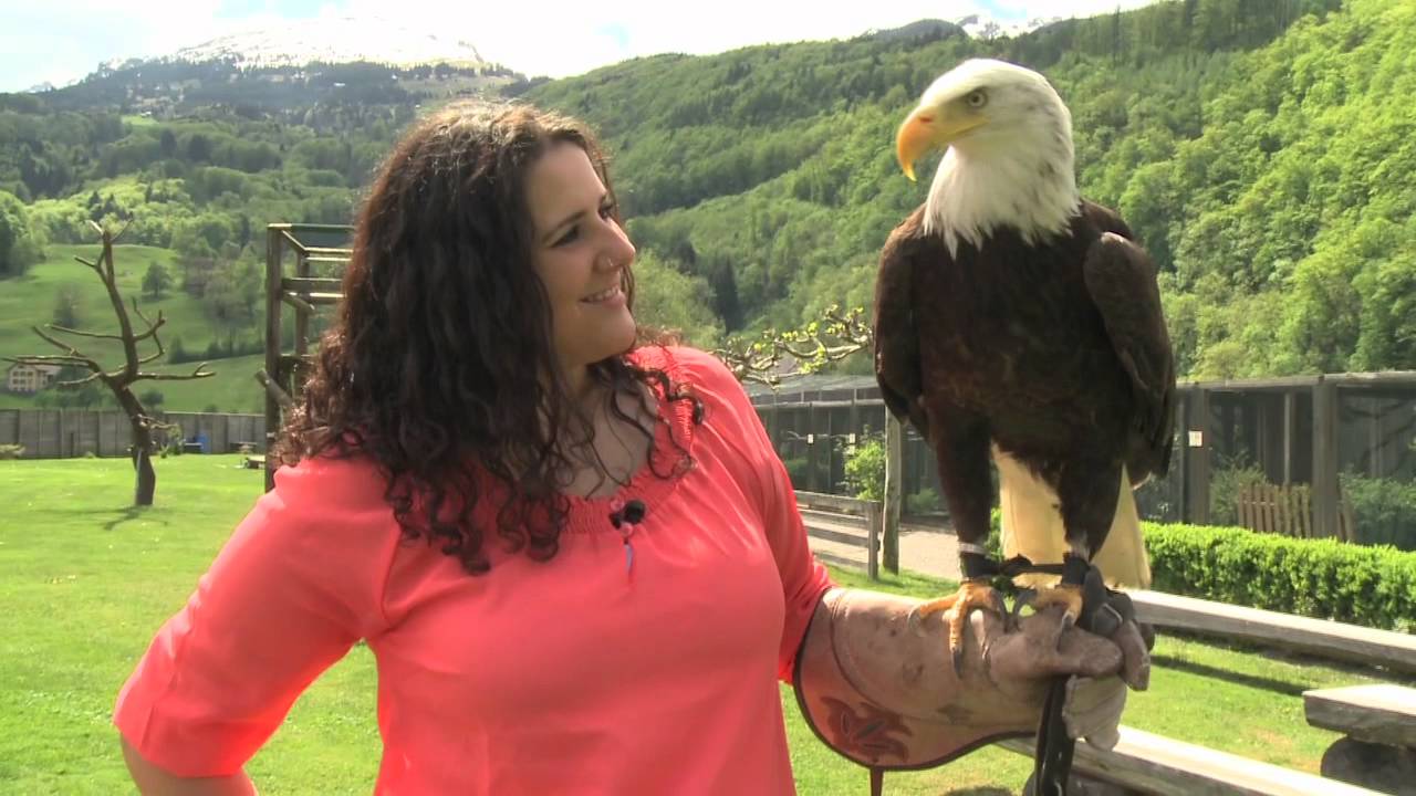 Action im Greifvogelpark Buchs