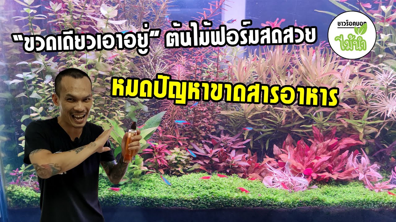 ปุ๋ยไม้น้ำหนึ่งเดียวในไทย ที่รวมธาตุหลักธาตุรองธาตุเสริม 21 ชนิดไว้ในขวดเดียว | ชาวร็อคบอกไม้น้ำ